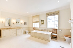 The Westminster image 11