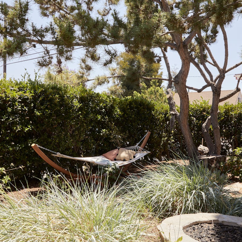 Spend relaxing afternoons reading in the shade of a tree