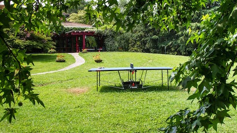 Play a game of table tennis under the sun