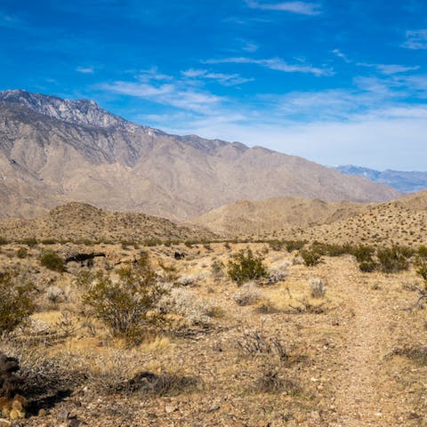 Drive over to Indian Canyons in ten minutes and head out on a desert hike