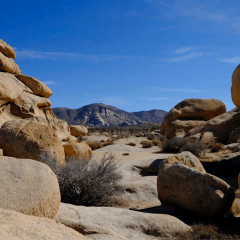 Drive to Joshua Tree National Park for hikes in unspoiled surroundings – it's half an hour away