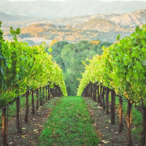 Escape to California's Wine Country and stay one mile from Healdsburg Plaza