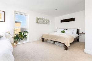 Teak On White image 11