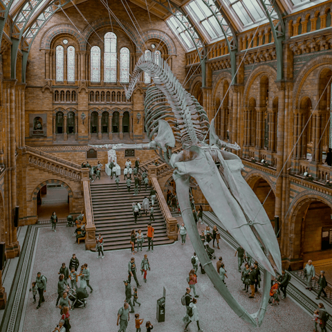 Visit the Natural History Museum, within walking distance of the apartment