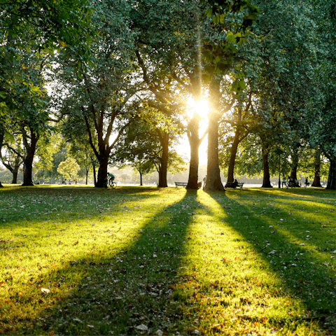 Take a leafy stroll through Hyde Park