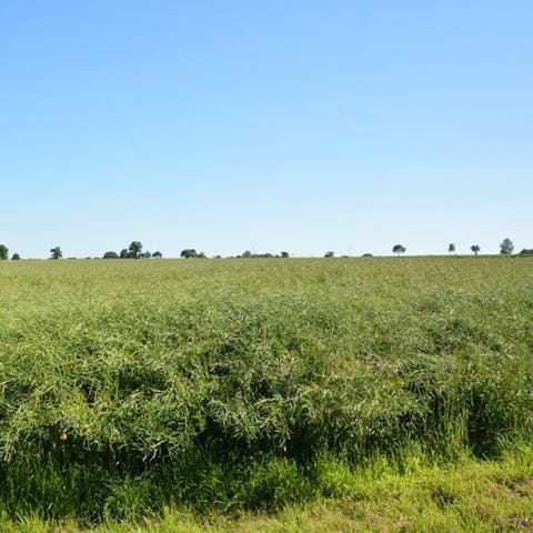 Take a scenic walk through the Norfolk countryside from your front door