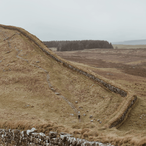 Stay just a fifteen-minute drive from Hadrian's wall 