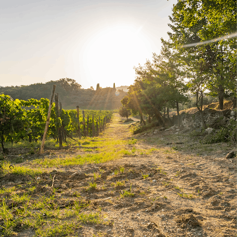 Explore the countryside around Chianti, right from your doorstep