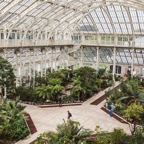 Experience the beauty of nature in the Kew Botanical Gardens less than a ten-minute walk away