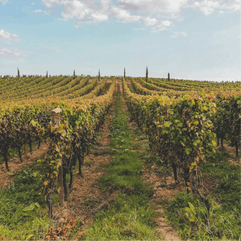 Discover the Burgundy wine region with your rural spot in Boyer as a scenic base