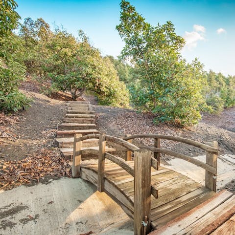 Stretch your legs on your own walking trail through the avocado orchard