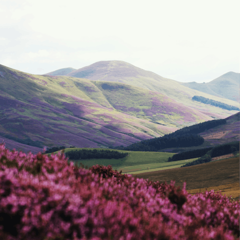 Pull on your hiking boots and explore the Pentland Hills