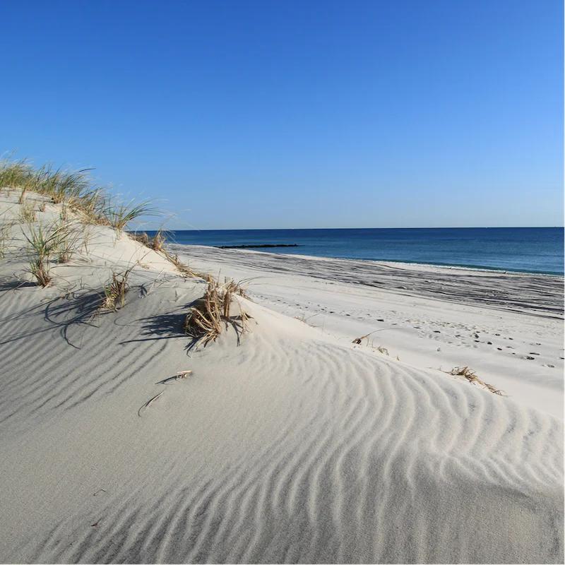 Take a drive to visit nearby Folly Beach