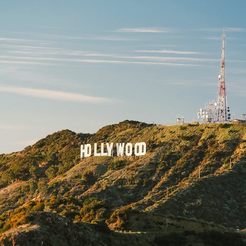 Visit Hollywood Hills, just a short fourteen–minute drive away