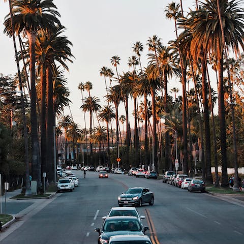 Explore Beverly Hills, only a thirteen–minute drive away