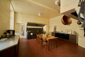Sauvignon Vines image 5