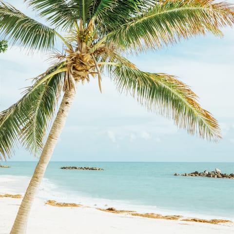 Visit the stunning nearby beaches in Key West, lined with leafy palm trees