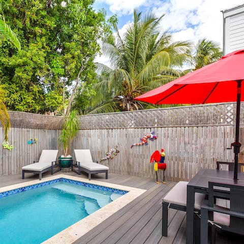 Keep cool in the Florida heat with a dip in your saltwater private pool