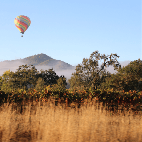 Immerse yourself in the natural beauty of the Napa Valley 