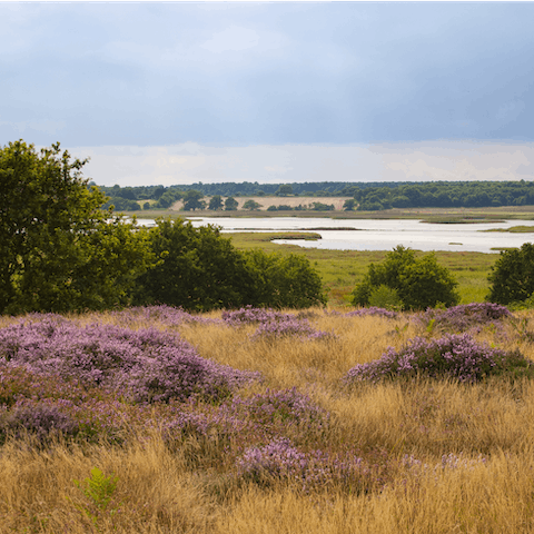 Explore the beautiful Suffolk coastline, including Walberswick Beach, 300 yards away