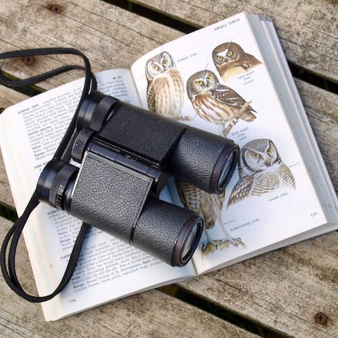 Go bird watching at RSPB Minsmere Reserve, a twenty-minute drive from this home