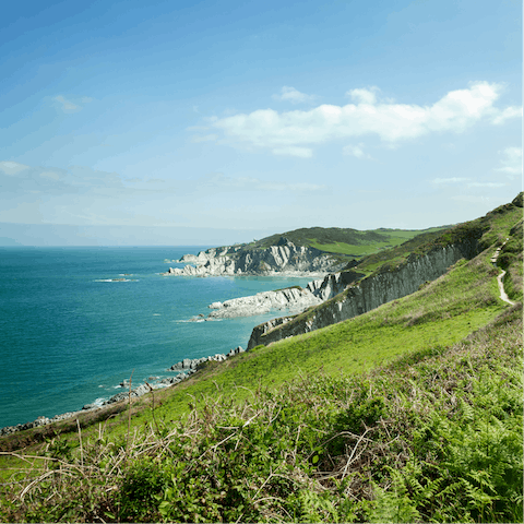 Explore the delights of the Devon coast