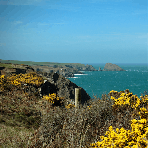Enjoy bracing coastal walks along the Pembrokeshire Coast National Park pathways weaving close to your door