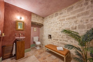 Martinet's Return image 9
