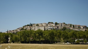 Martinet's Return image 6