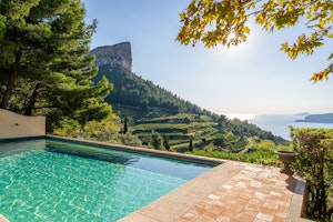 Golden Sanctuary image 9