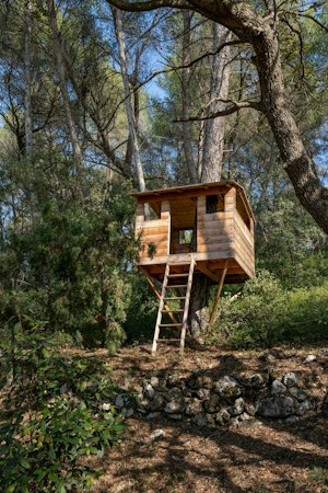 Treetop Hideout image 5