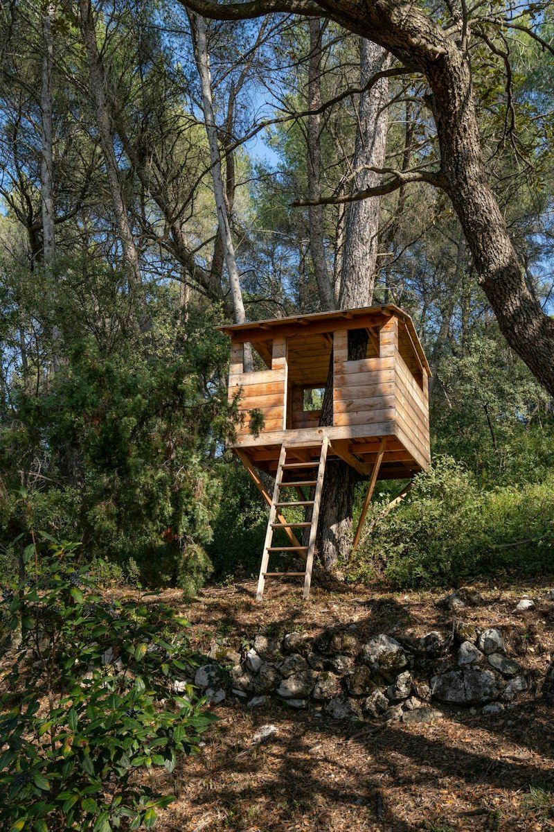 Treetop Hideout additional image