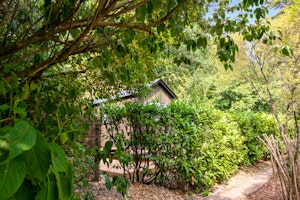 The Sussex Sanctuary image 4