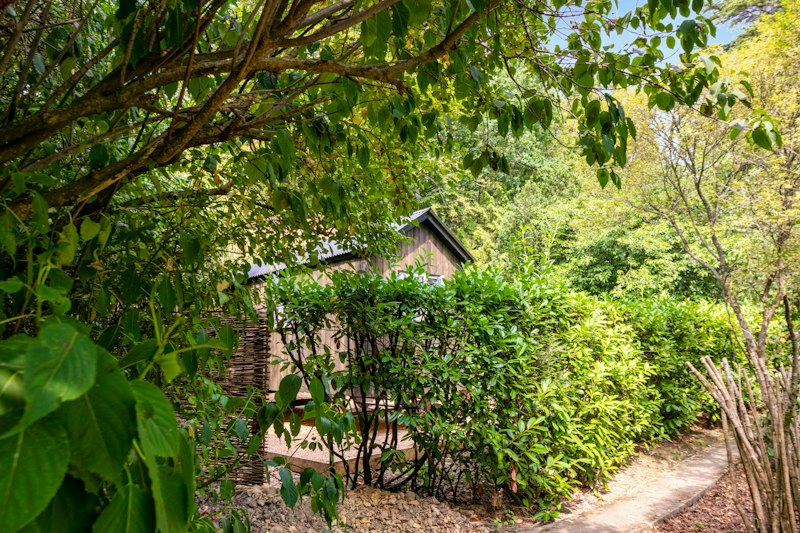 The Sussex Sanctuary additional image