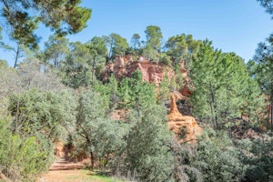 Art & Earth image 14
