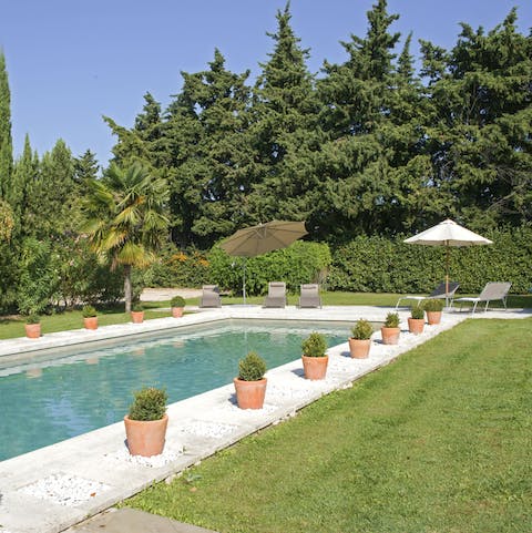 Purge your stress in this gorgeous garden pool 