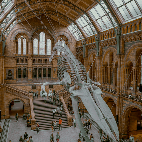 Spend all day marvelling at the exhibits of the Natural History Museum, three minutes away