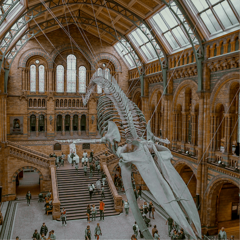 Spend all day marvelling at the exhibits of the Natural History Museum, three minutes away