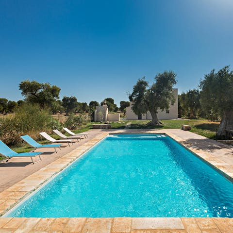 Relax by the pool surrounded by one hundred-year-old olive trees