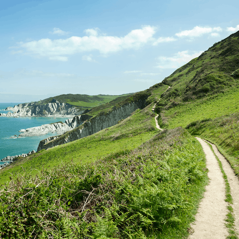 Hike along stunning cliff paths that line the South Devon coast