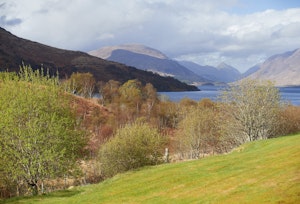 The Highland Hideaway image 10