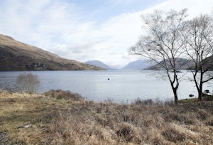The Highland Hideaway image 8