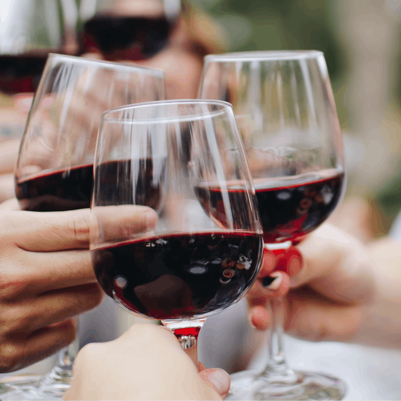 Discover the greatest Sicilian wineries