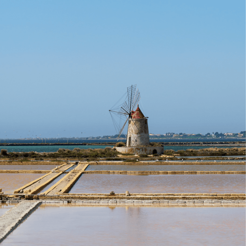 Drive for forty minutes to Trapani's salt marshes and windmills