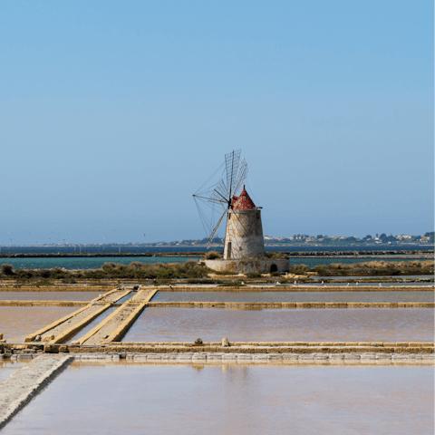 Drive for forty minutes to Trapani's salt marshes and windmills
