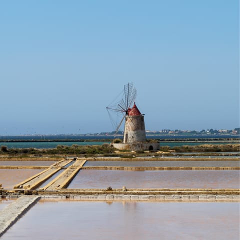 Drive for forty minutes to Trapani's salt marshes and windmills