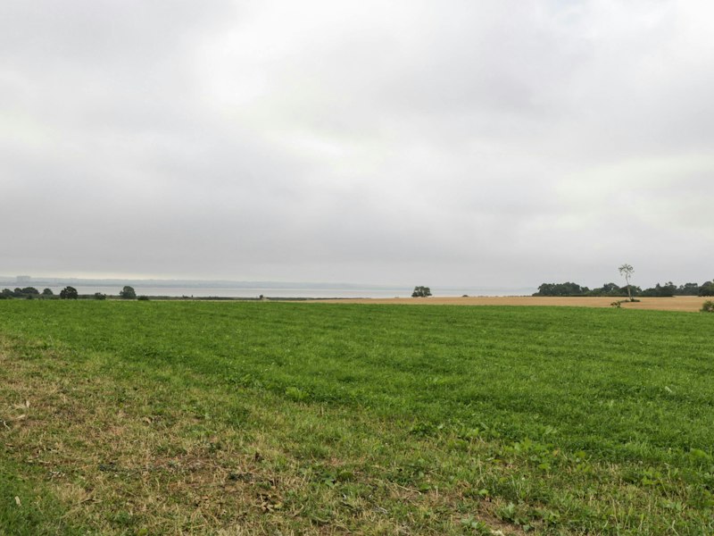 Gloucestershire Gaze additional image