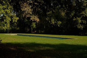 Velvet & Vines image 10