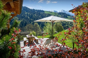 Alpine Delight image 9