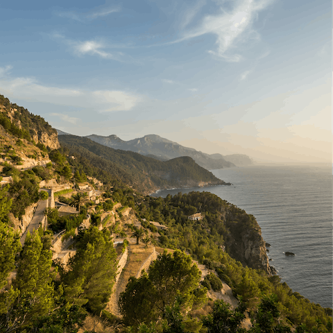 Discover the magic of island living from the heart of Mallorca